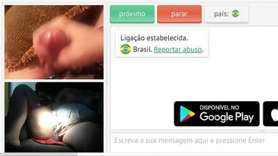 चाट बिल्ली